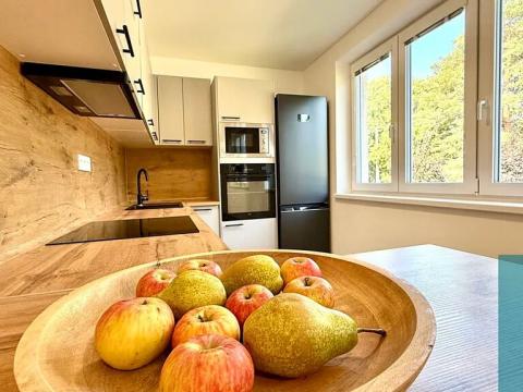 Pronájem bytu 2+kk, Zdounky, Nádražní, 60 m2