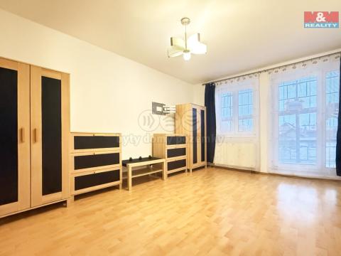 Pronájem bytu 2+1, Blovice, Americká, 49 m2