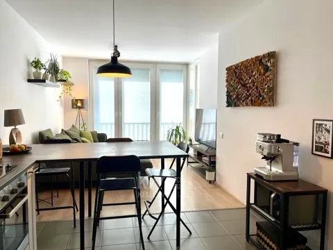 Pronájem bytu 2+kk, Praha - Žižkov, Olgy Havlové, 39 m2