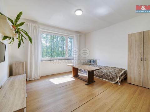 Pronájem bytu 1+kk, Praskolesy, 21 m2
