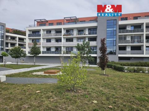 Pronájem bytu 1+kk, Olomouc, Lazecká, 38 m2