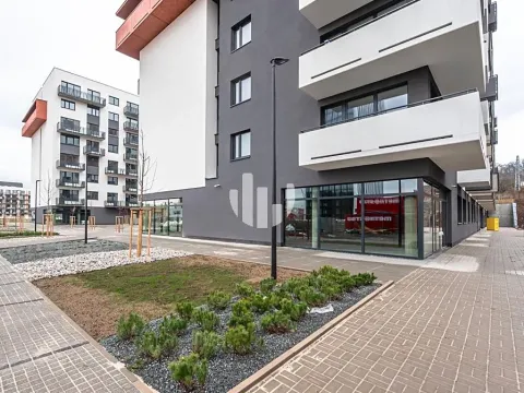 Pronájem obchodního prostoru, Praha - Vysočany, Hindlova, 212 m2