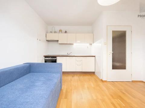 Prodej bytu 1+1, Brno, Mučednická, 46 m2