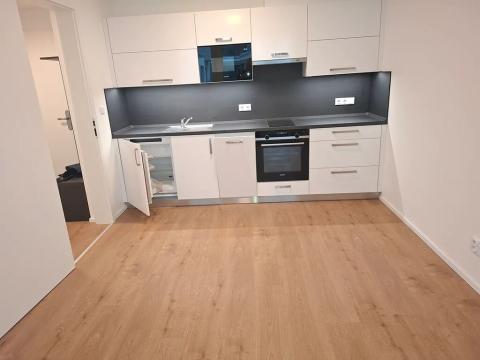 Pronájem bytu 2+kk, Brno, třída Generála Píky, 47 m2