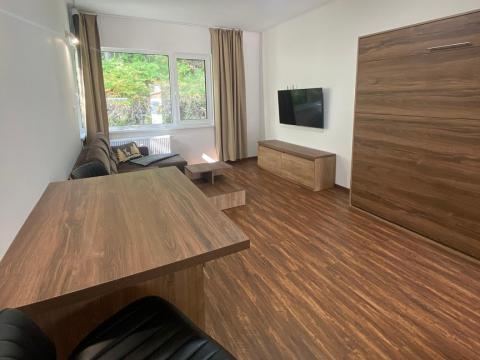 Pronájem bytu 1+kk, Ostrov - Horní Žďár, 28 m2