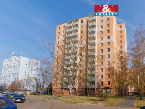 Pronájem bytu 2+kk, České Budějovice - České Budějovice 2, Labská, 39 m2