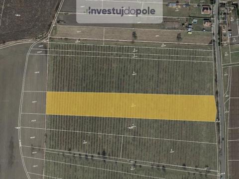 Prodej pole, Liběšice - Soběnice, 6199 m2