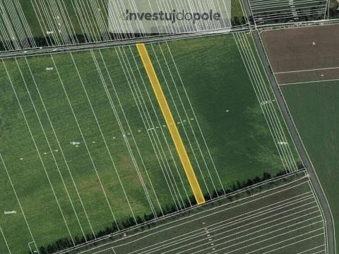 Prodej pole, Lipov, 4290 m2