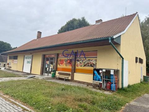 Prodej obchodního prostoru, Suchdol nad Lužnicí, Husova, 401 m2