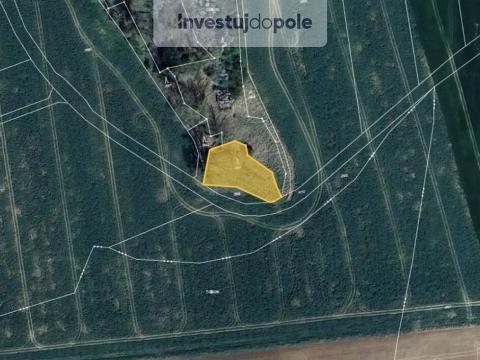 Prodej lesa, Ronov nad Doubravou, 1294 m2