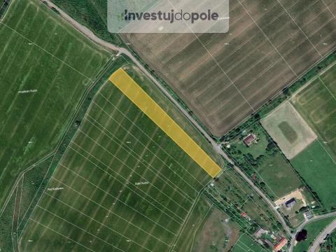 Prodej pole, Věžky, 2045 m2
