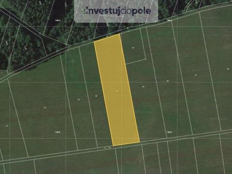 Prodej pole, Lipová - Hrochov, 9000 m2