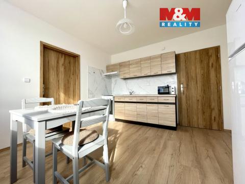 Pronájem bytu 1+1, Brno - Královo Pole, Palackého třída, 35 m2