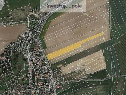 Prodej pozemku, Říčany - Jažlovice, 8031 m2