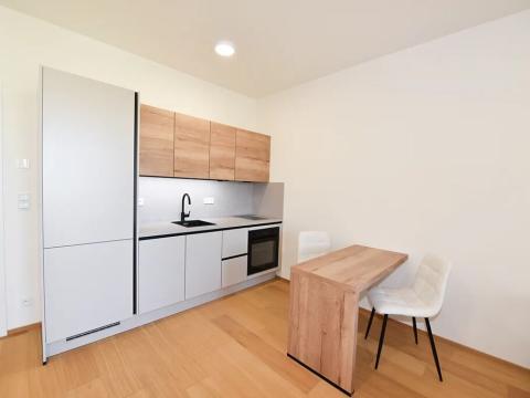 Pronájem bytu 1+kk, Praha - Hrdlořezy, V třešňovce, 40 m2
