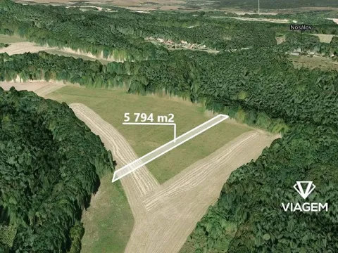 Prodej podílu lesa, Nosálov, 2172 m2