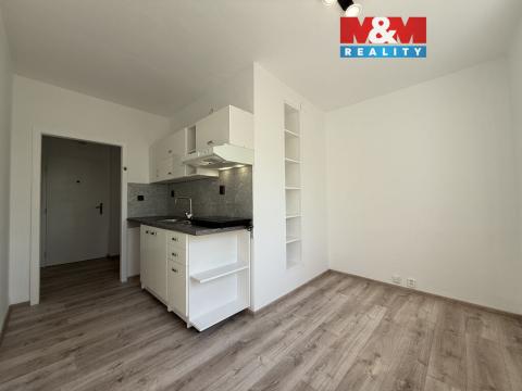 Pronájem bytu 1+1, Karviná - Ráj, Borovského, 42 m2
