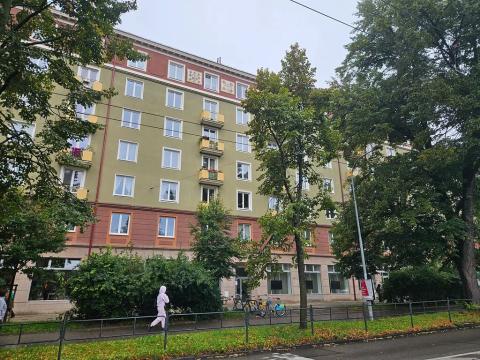 Pronájem komerční nemovitosti, Brno, Botanická, 105 m2