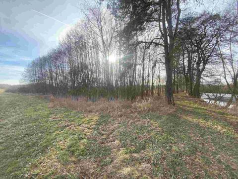 Prodej pozemku, Trstěnice, 1109 m2