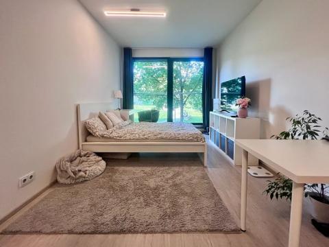 Pronájem bytu 1+kk, Brno, Hvězdová, 33 m2