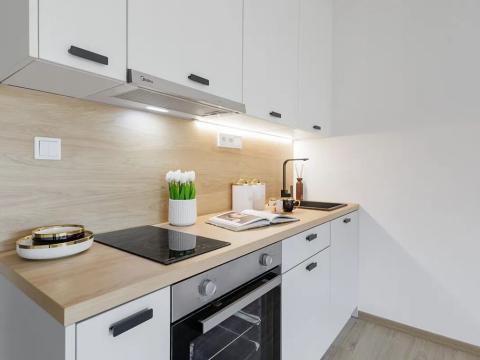 Pronájem bytu 1+kk, Slaný, Lázeňská, 34 m2