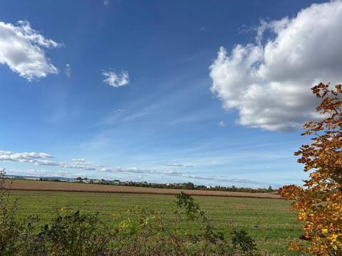 Prodej podílu pole, Olomouc, 10492 m2