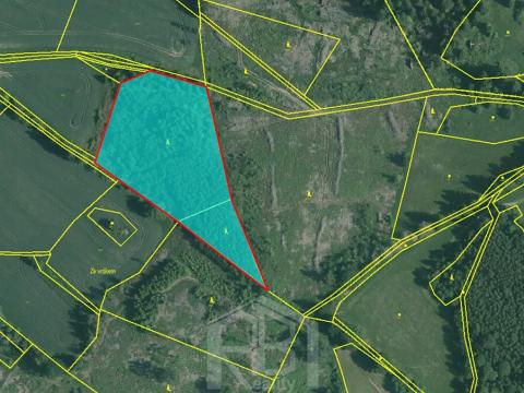 Prodej lesa, Studená, 12013 m2