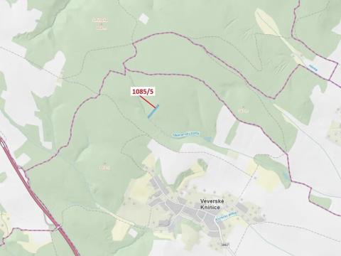 Dražba lesa, Veverské Knínice, 3926 m2