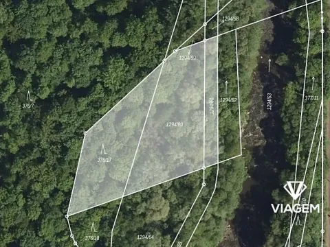 Prodej podílu lesa, Baška, 1533 m2