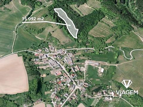 Prodej podílu lesa, Vranová Lhota, 1741 m2