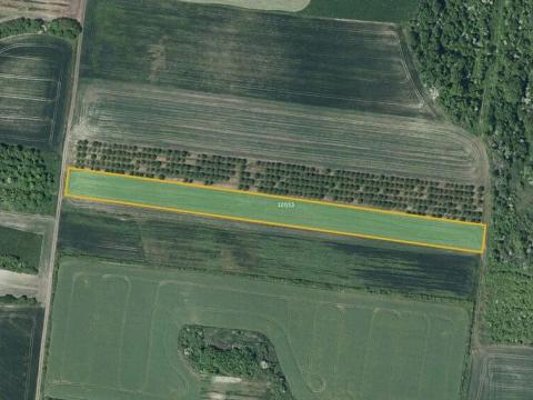 Prodej sadu/vinice, Želkovice, 8289 m2