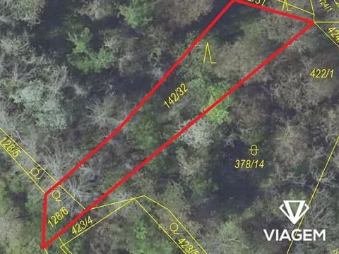 Prodej lesa, Pašinka, 606 m2