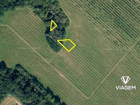 Prodej podílu lesa, Semtěš, 375 m2