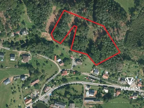 Prodej podílu lesa, Náchod, 6349 m2