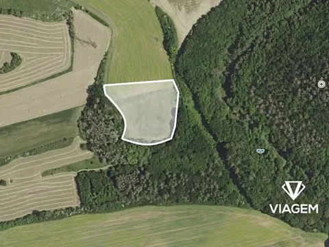 Prodej podílu pole, Chýnice, 1222 m2