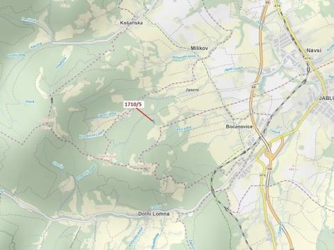 Dražba lesa, Návsí, 3528 m2