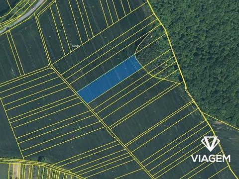 Prodej pole, Nedachlebice, 5443 m2