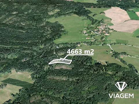 Prodej pole, Slavče, 4663 m2