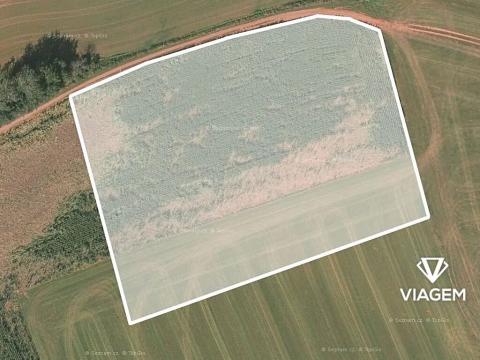 Prodej podílu pole, Úbislavice, 4083 m2