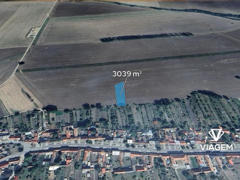 Prodej podílu pole, Kněždub, 1519 m2