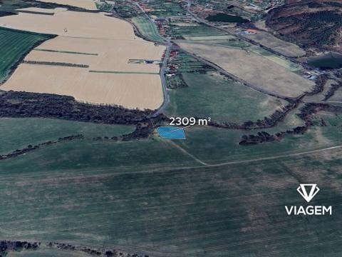 Prodej pole, Konice, 2309 m2