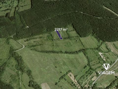 Prodej pole, Javorník, 2217 m2