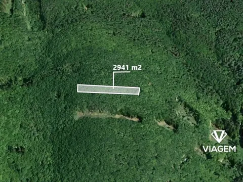 Prodej podílu lesa, Brno, 2941 m2