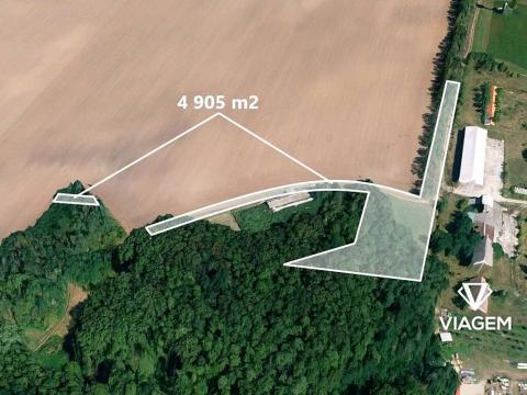 Prodej podílu pole, Čejkovice, 1226 m2