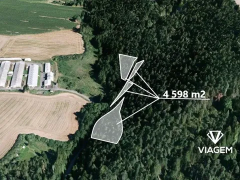 Prodej podílu lesa, Manětín, 2299 m2