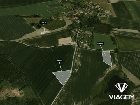 Prodej podílu pole, Tučapy, 3119 m2