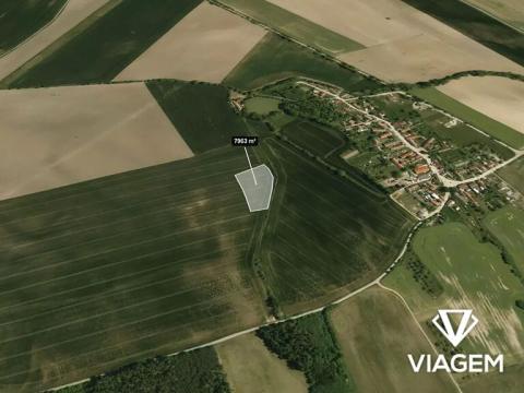 Prodej podílu pole, Jankovice, 3981 m2