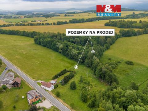 Prodej louky, Dětřichov, 4178 m2