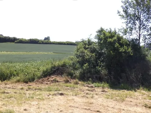 Dražba louky, Přeštěnice, 3046 m2