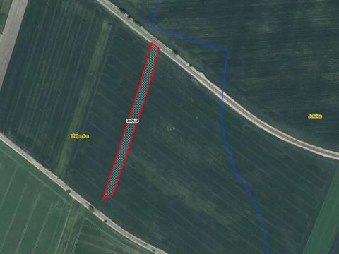 Prodej pole, Třebenice, 4348 m2